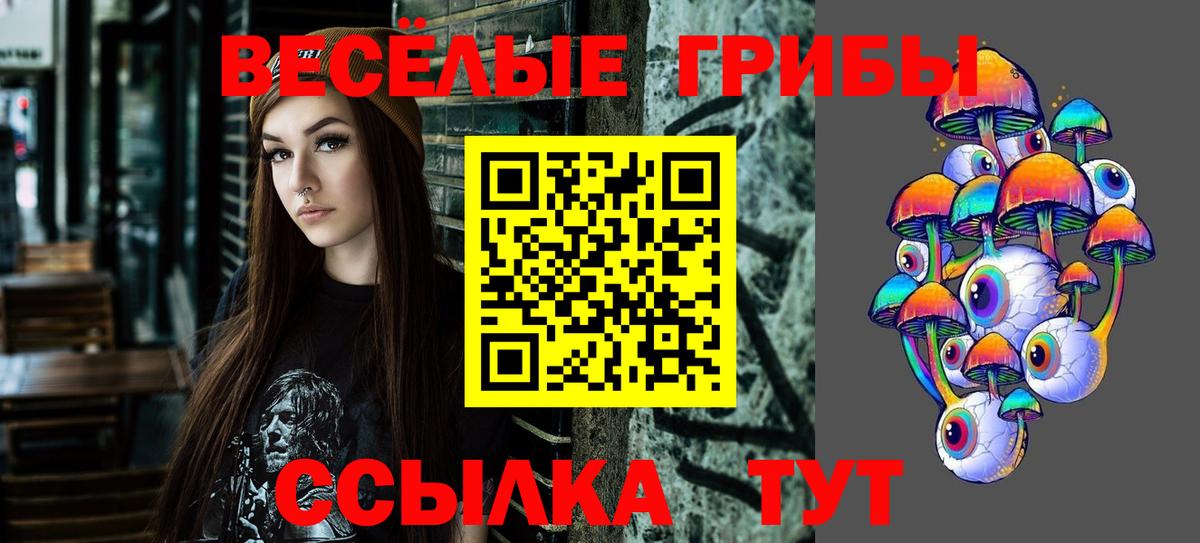 Галлюциногенные грибы прущие грибы  Вход с VPN  Лесосибирск  Галлюциногенные грибы GOLDEN TEACHER 