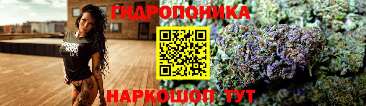 Бошки марихуана Bruce Banner Лесосибирск